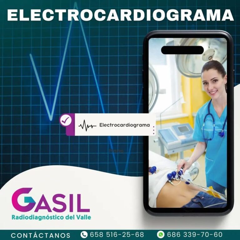 402151554_1216343819266305_936452765486493932_n