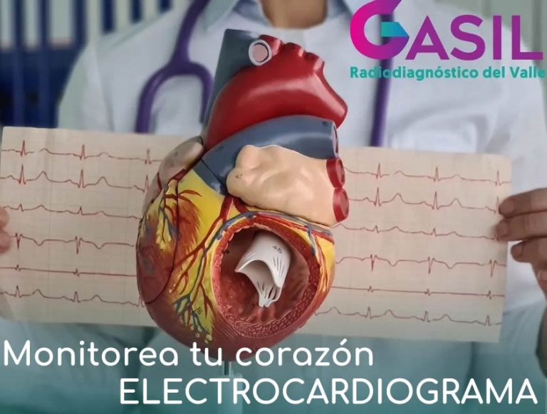 417154363_1244263416474345_2871259142577826262_n