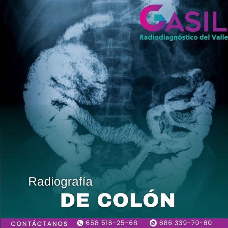 428707978_1268382697395750_7574356148722993437_n